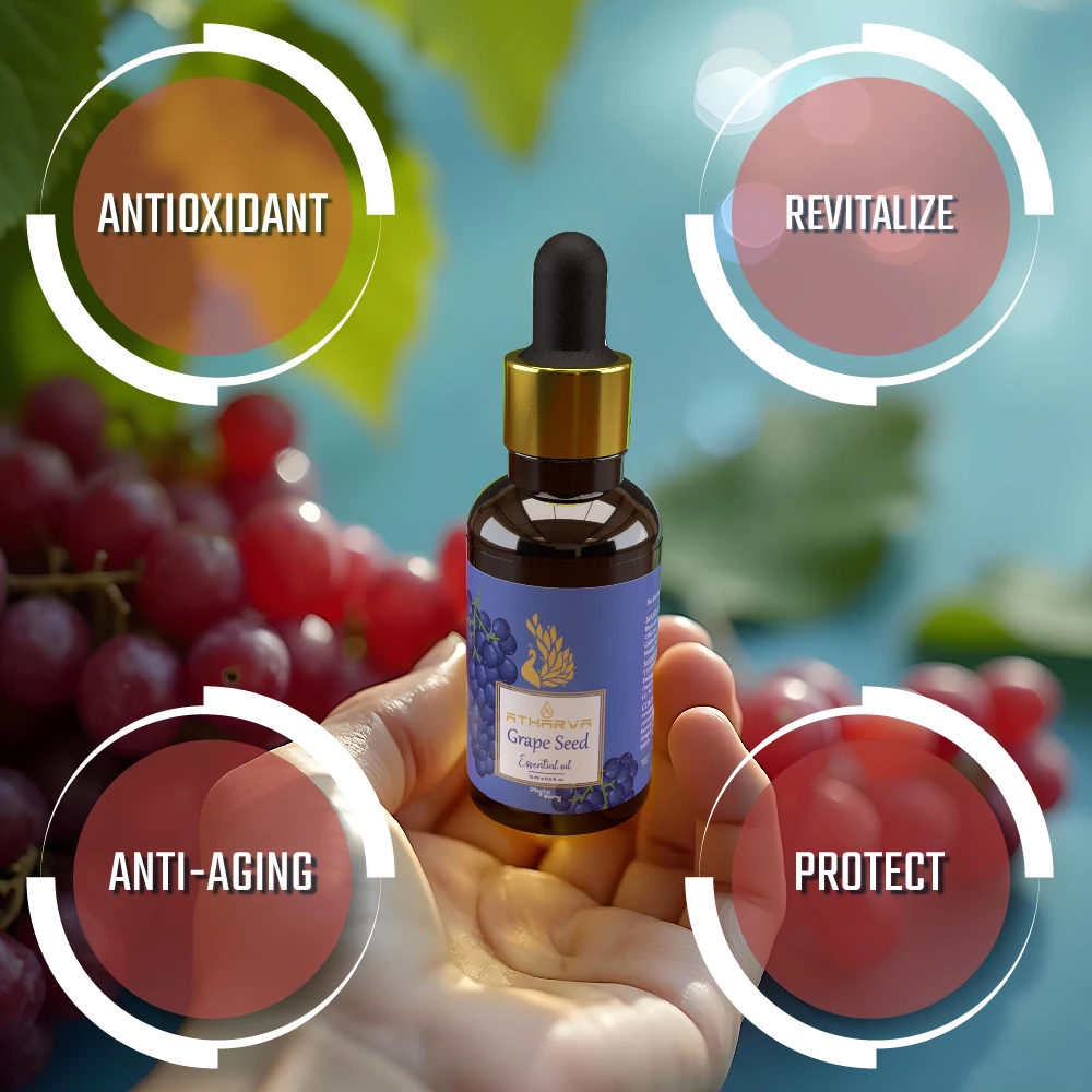 RBV B2B Atharva Grape Seed Essential Oil (15ml)-12 Pcs.